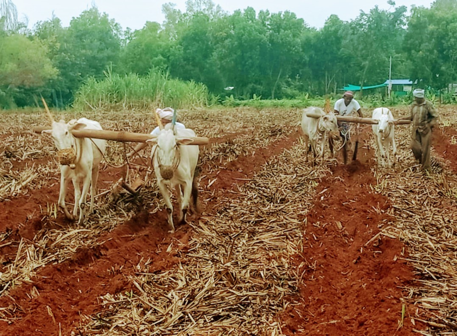Farmer Welfare News
